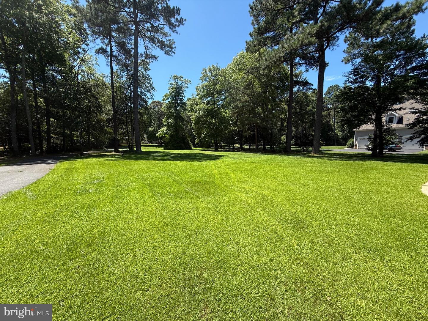 29046 Tanager Way Property Photo 8