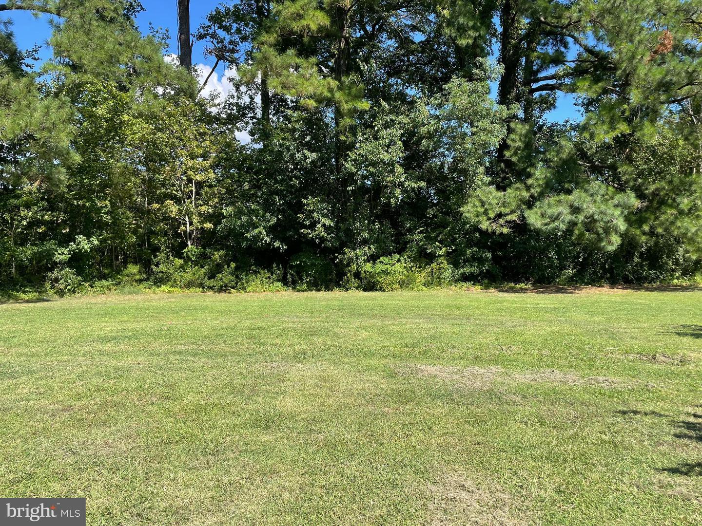20833 Nanticoke Rd Property Photo 18