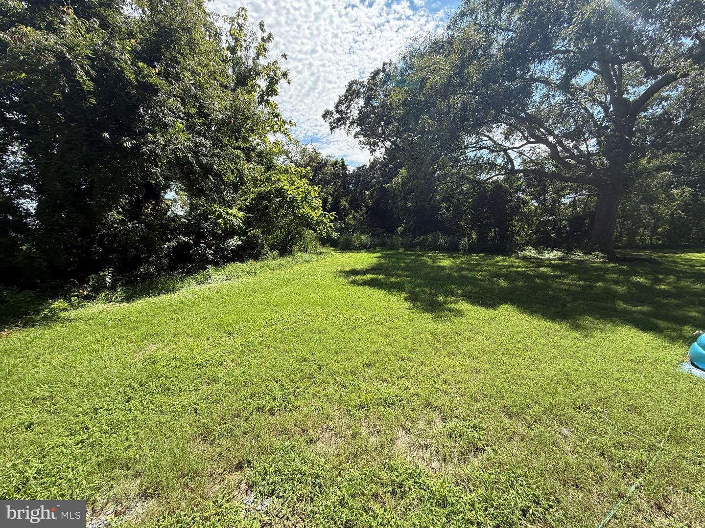 31375 Mount Hermon Rd Property Photo 33