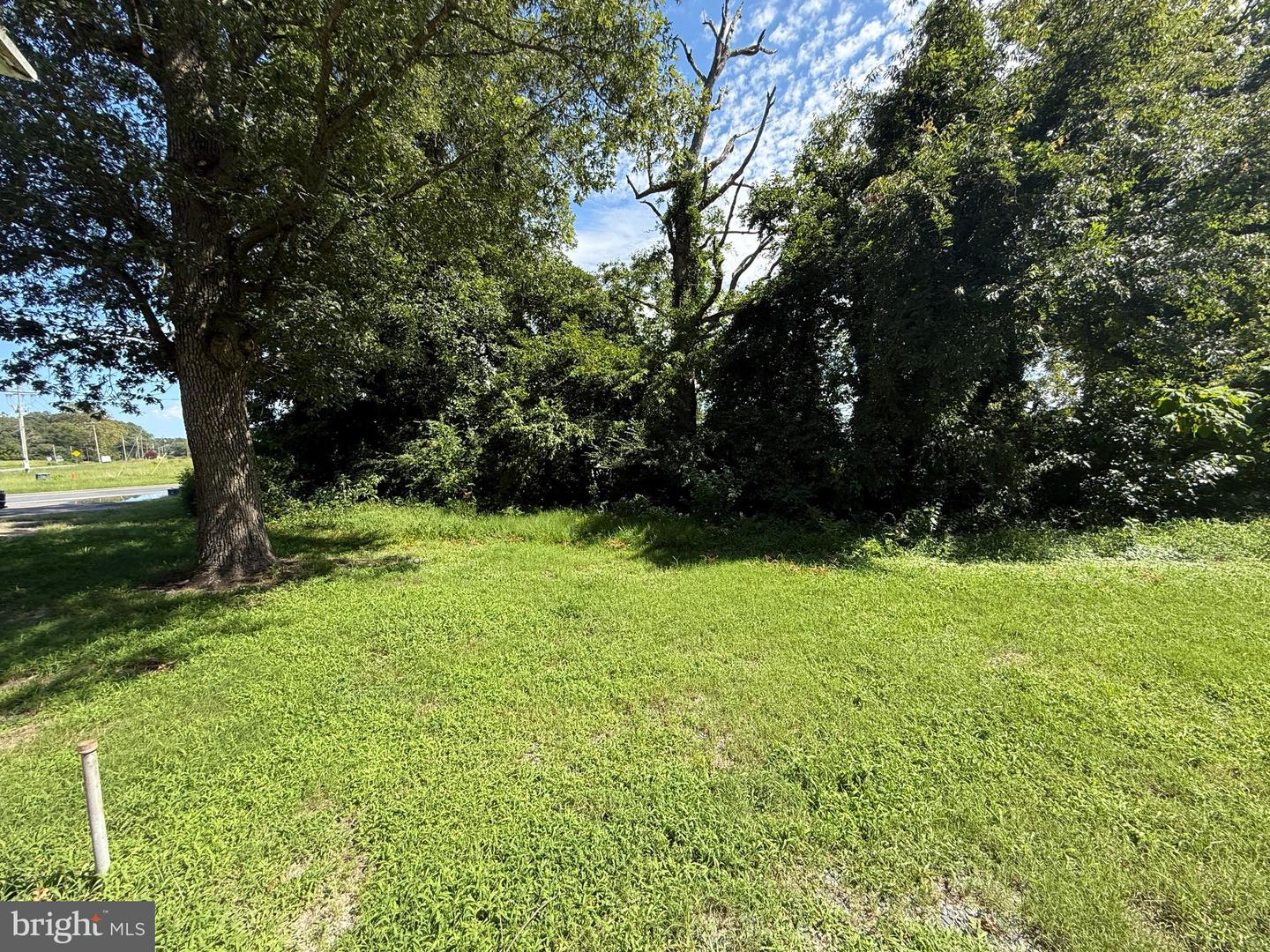 31375 Mount Hermon Rd Property Photo 34