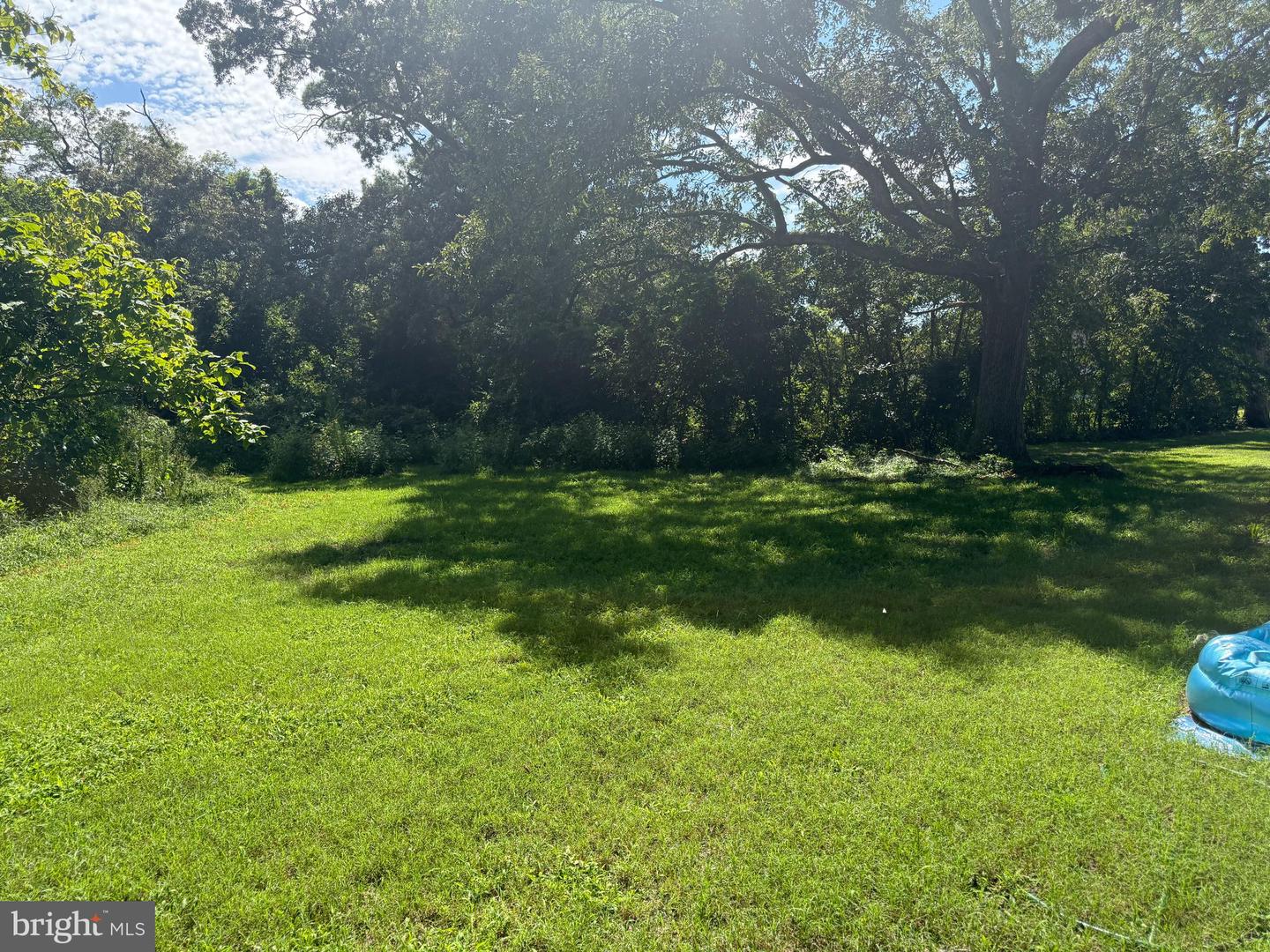 31375 Mount Hermon Rd Property Photo 35