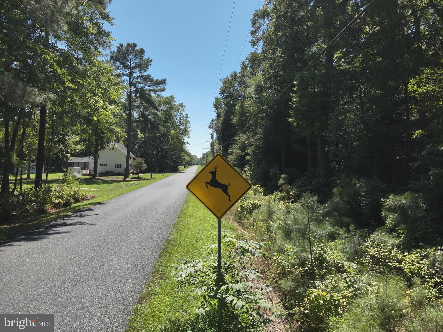 Jesterville Rd Property Photo 2