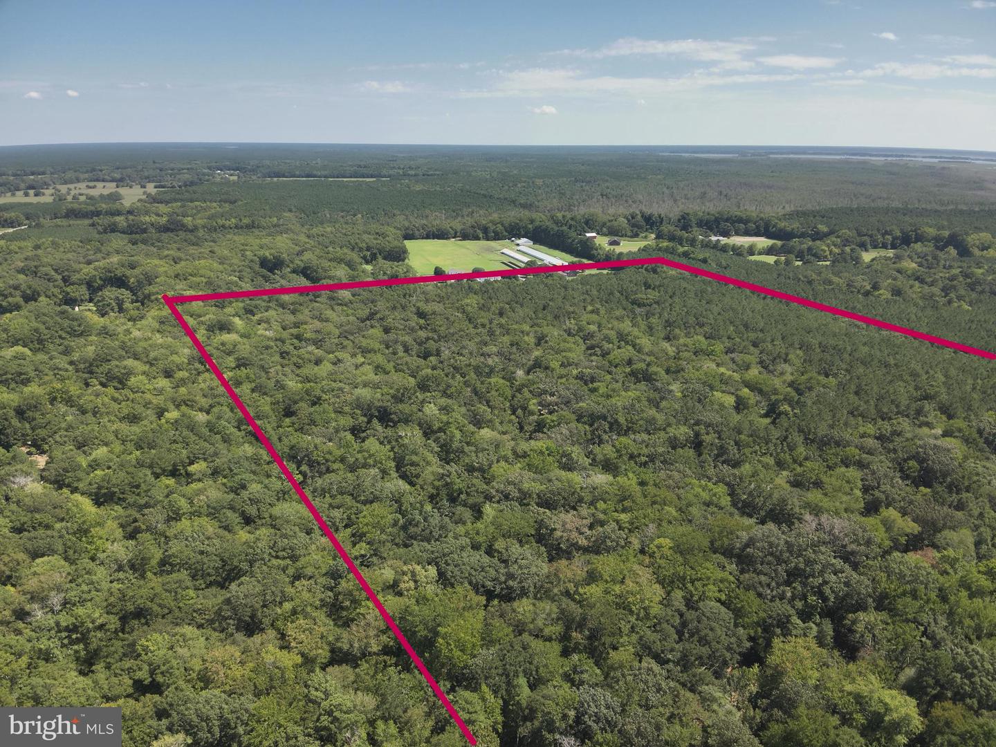Jesterville Rd Property Photo 5