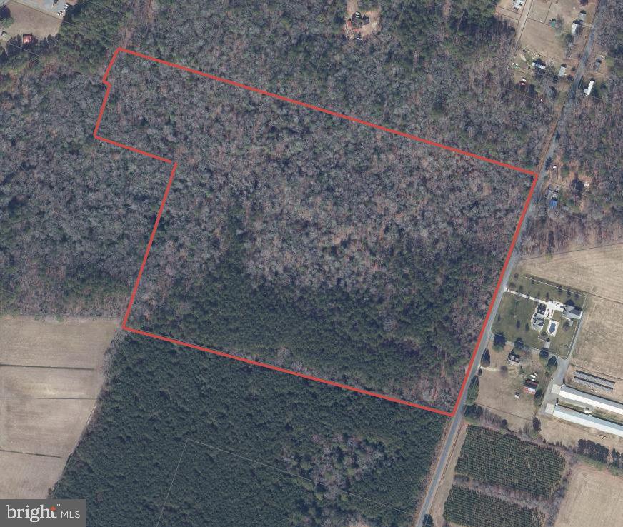 Jesterville Rd Property Photo 37