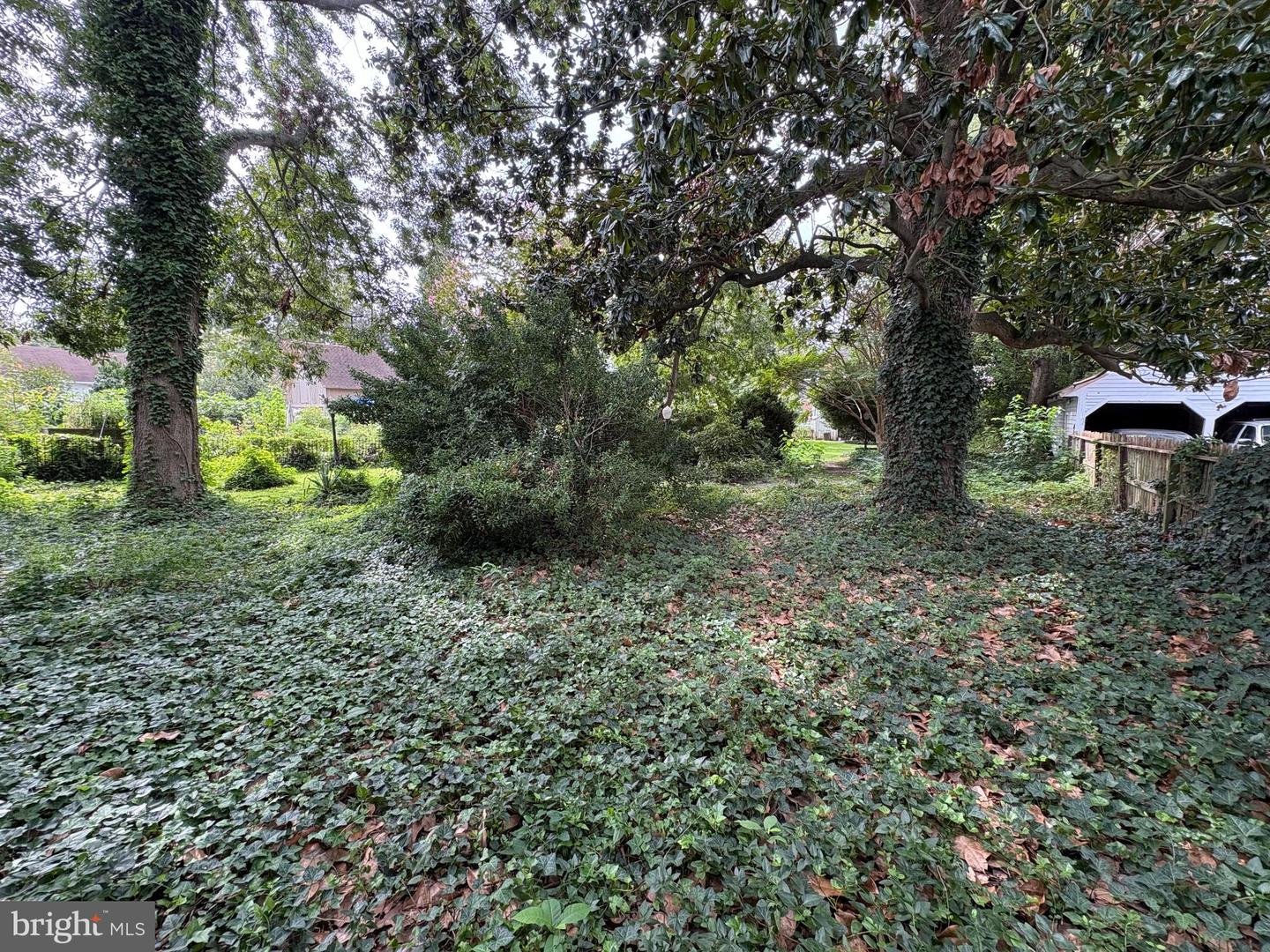 108 Wilson St Property Photo 5