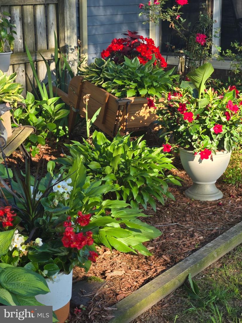 6419 Freedom Way Property Photo 8