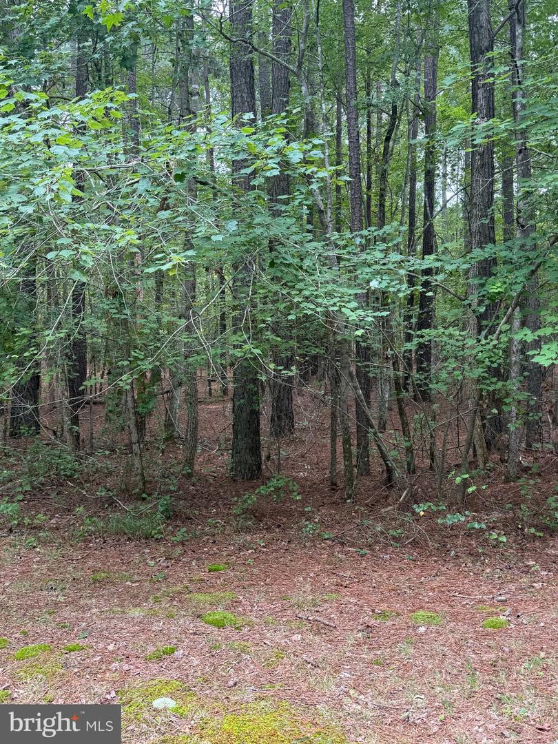 23301 Nanticoke Rd Property Photo 5