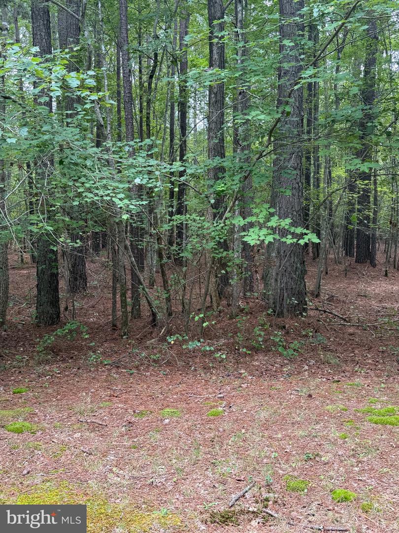 23301 Nanticoke Rd Property Photo 6