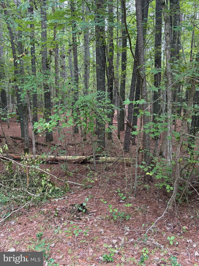 23301 Nanticoke Rd Property Photo 24