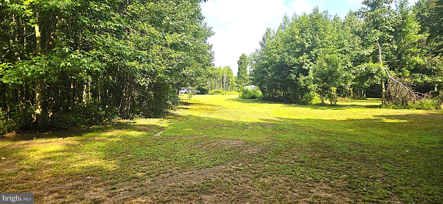 36881 Old Ocean City Rd Property Photo 10