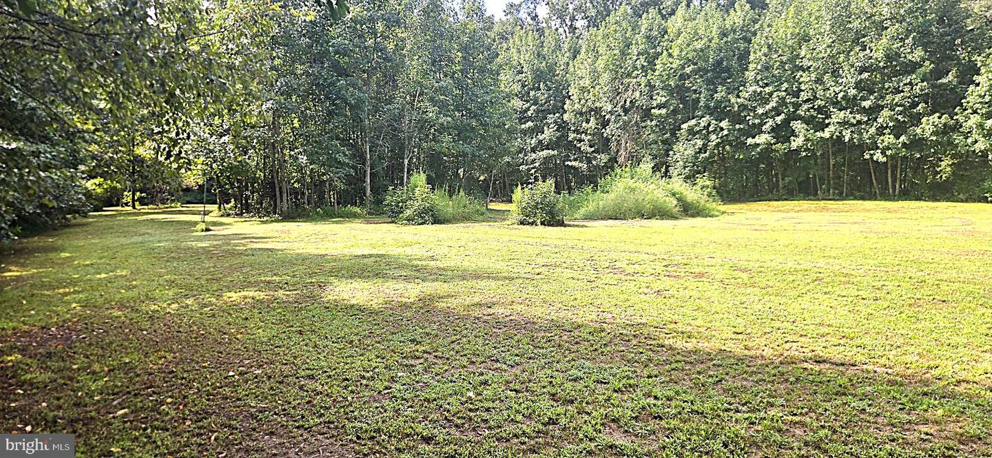 36881 Old Ocean City Rd Property Photo 11