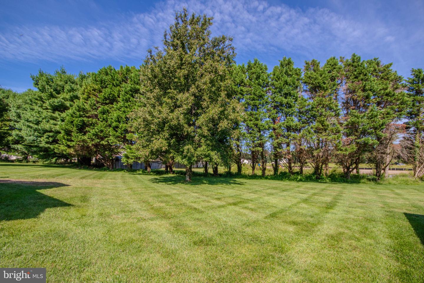 28272 Early Dawn Ct Property Photo 40