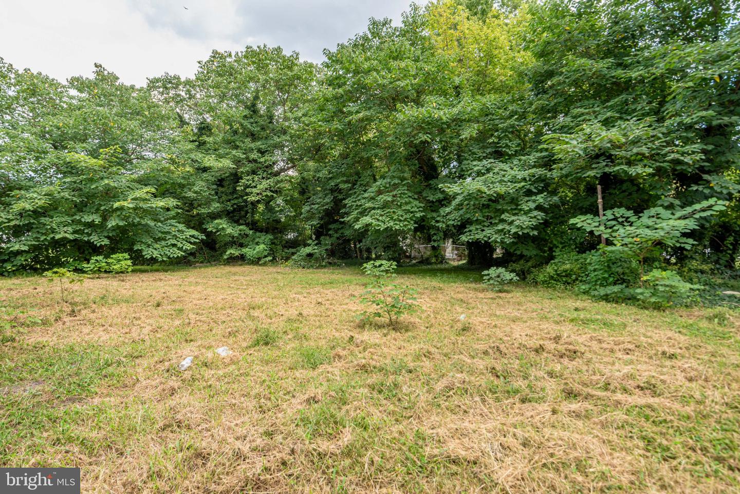 139 2nd St Property Photo 39