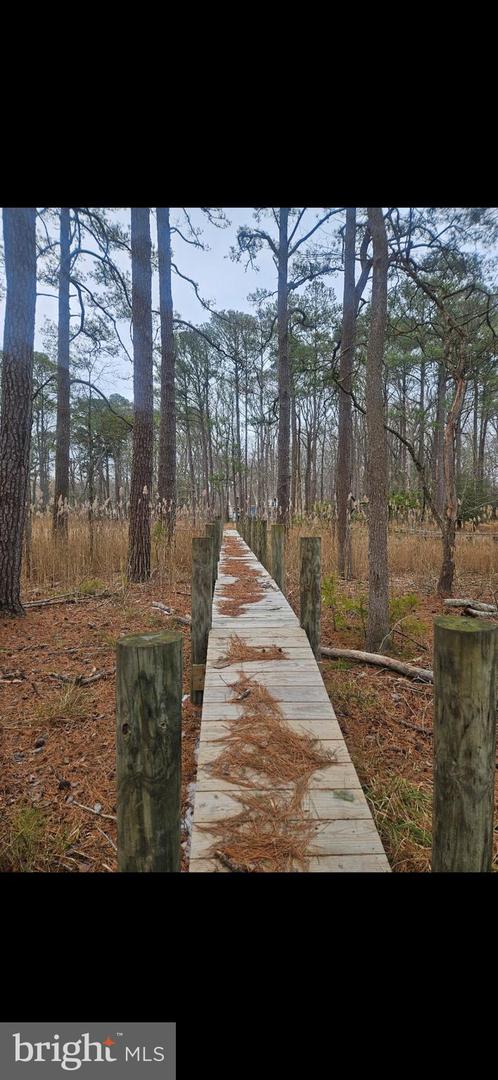 Lot 7 Newport Bay Dr Property Photo 4