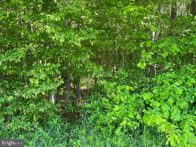 0 Patey Woods Rd Property Photo 1