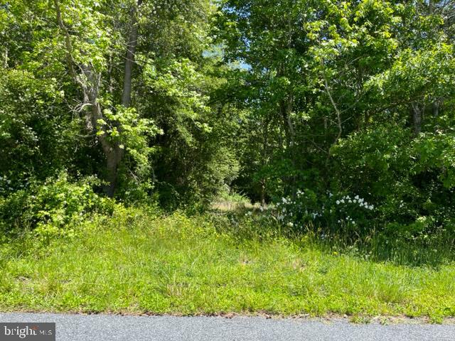 0 Patey Woods Rd Property Photo 2