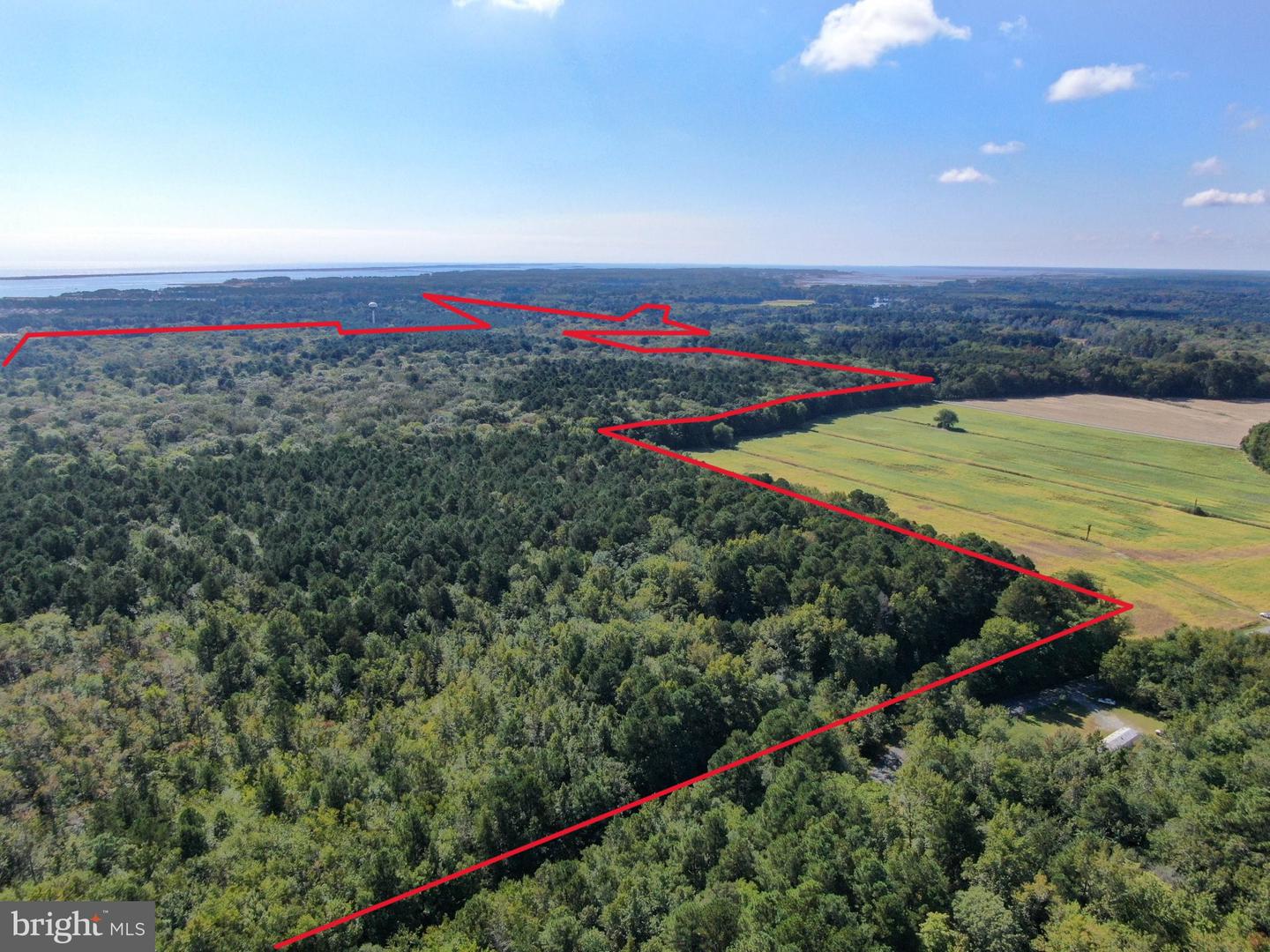 12823 Lewis Rd Property Photo 1