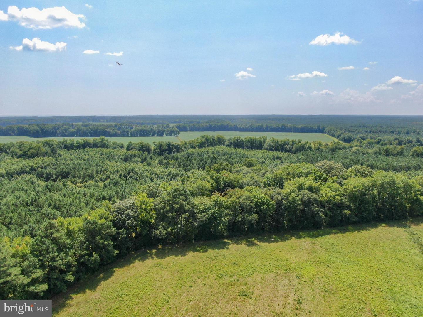 0 Cedartown Rd Property Photo 13