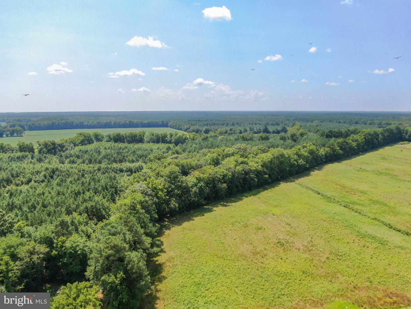 0 Cedartown Rd Property Photo 14