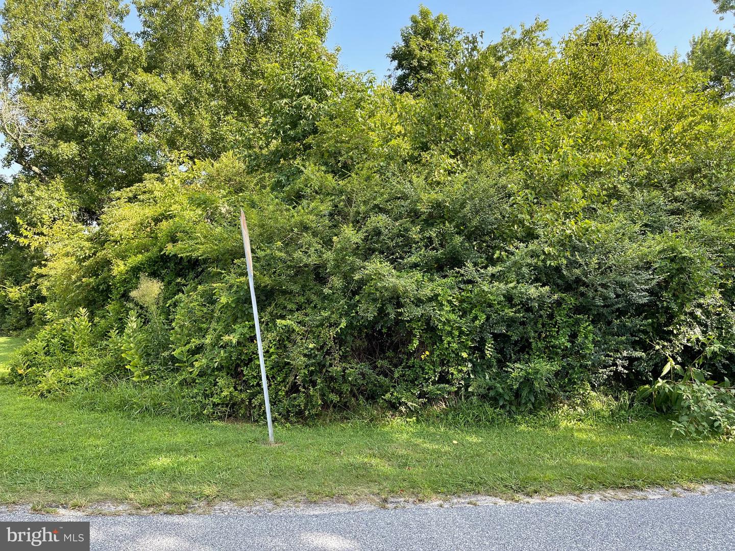 177-lot 177 St Martins Neck Rd Property Photo 7