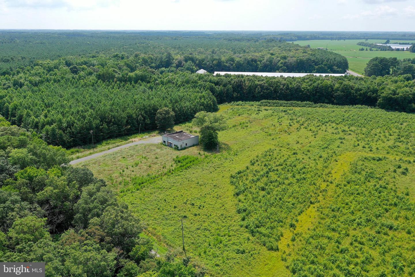 1637 Dun Swamp Rd Property Photo 18