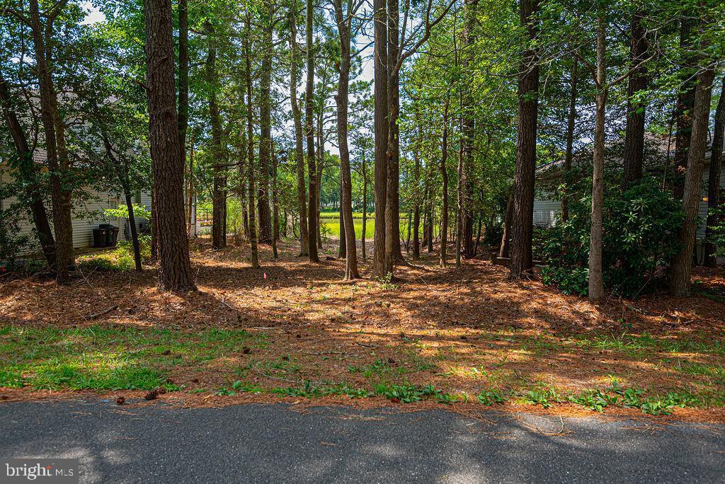 72 Boston Dr Property Photo 11
