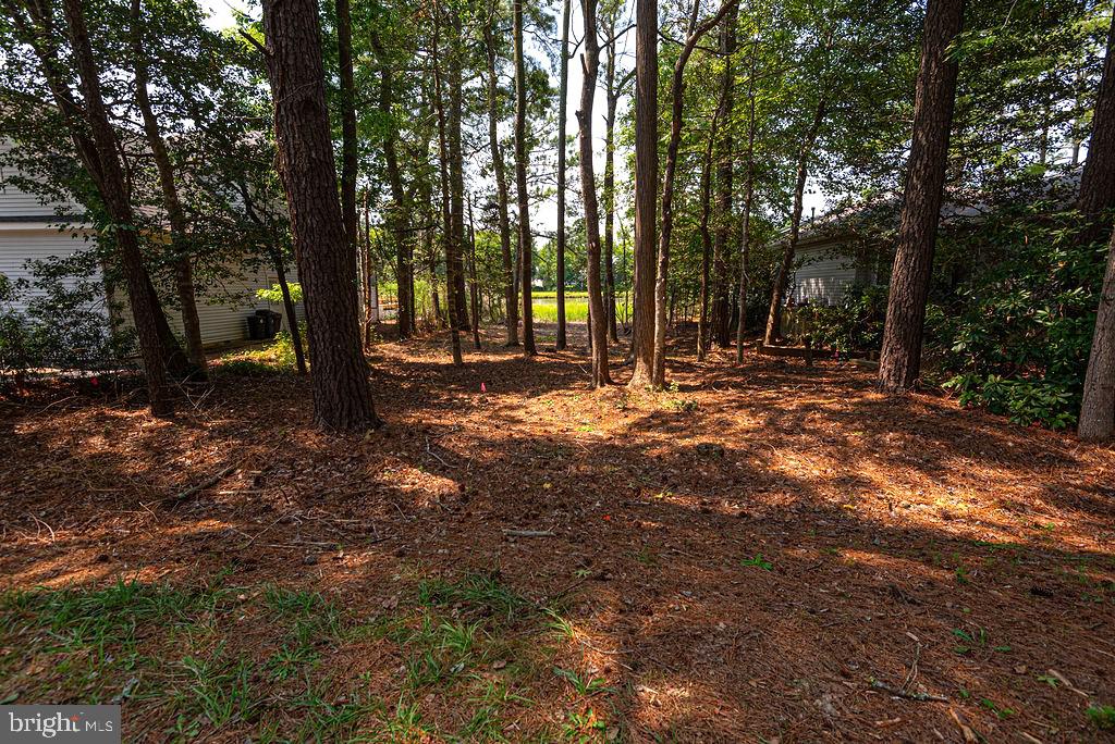 72 Boston Dr Property Photo 12