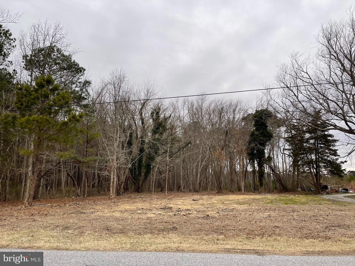 12307 Sinepuxent Rd Property Photo 1