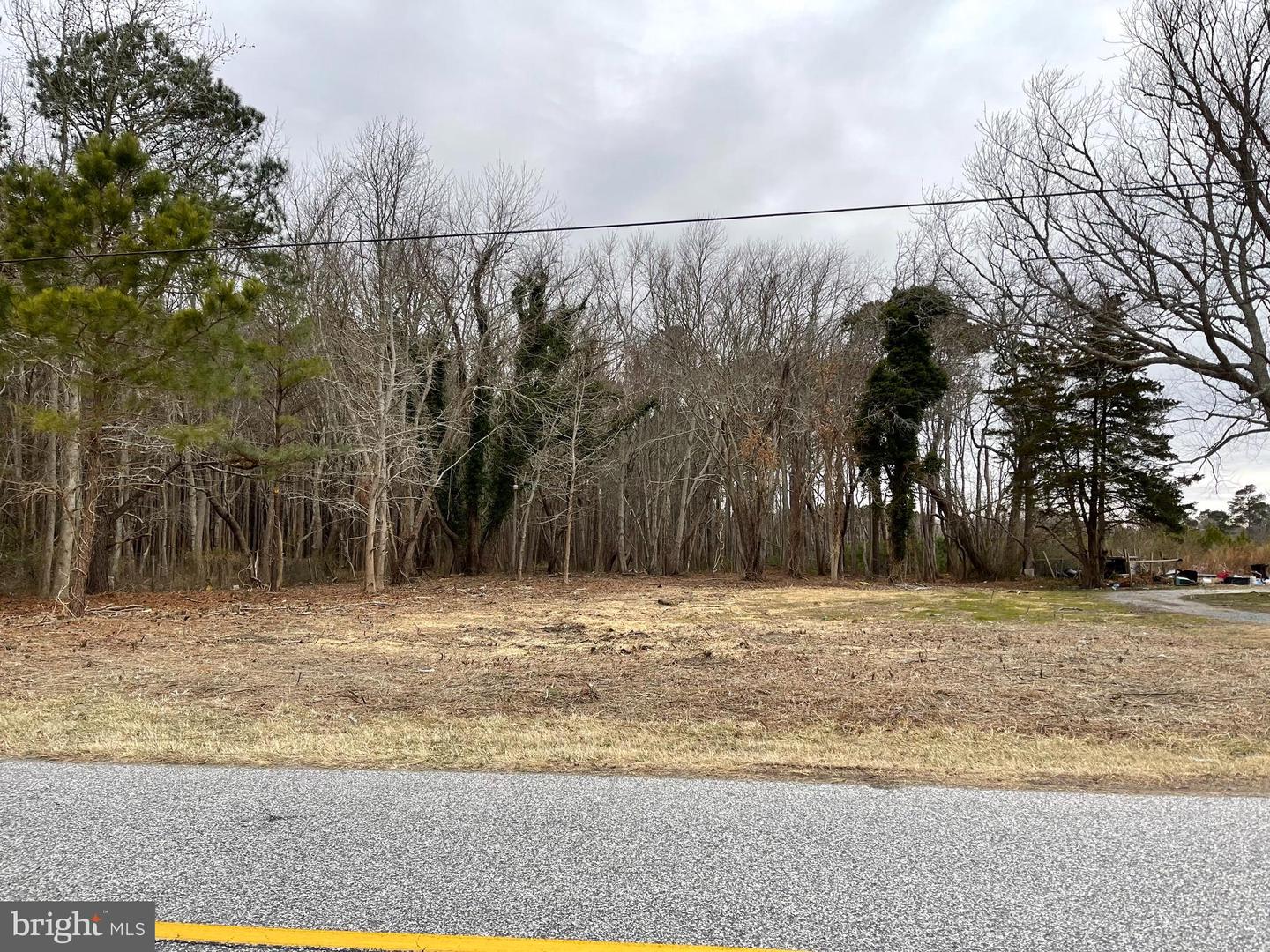 12307 Sinepuxent Rd Property Photo 2