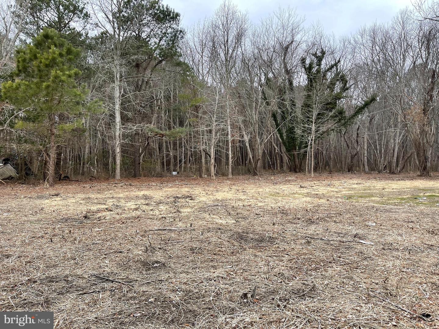 12307 Sinepuxent Rd Property Photo 8