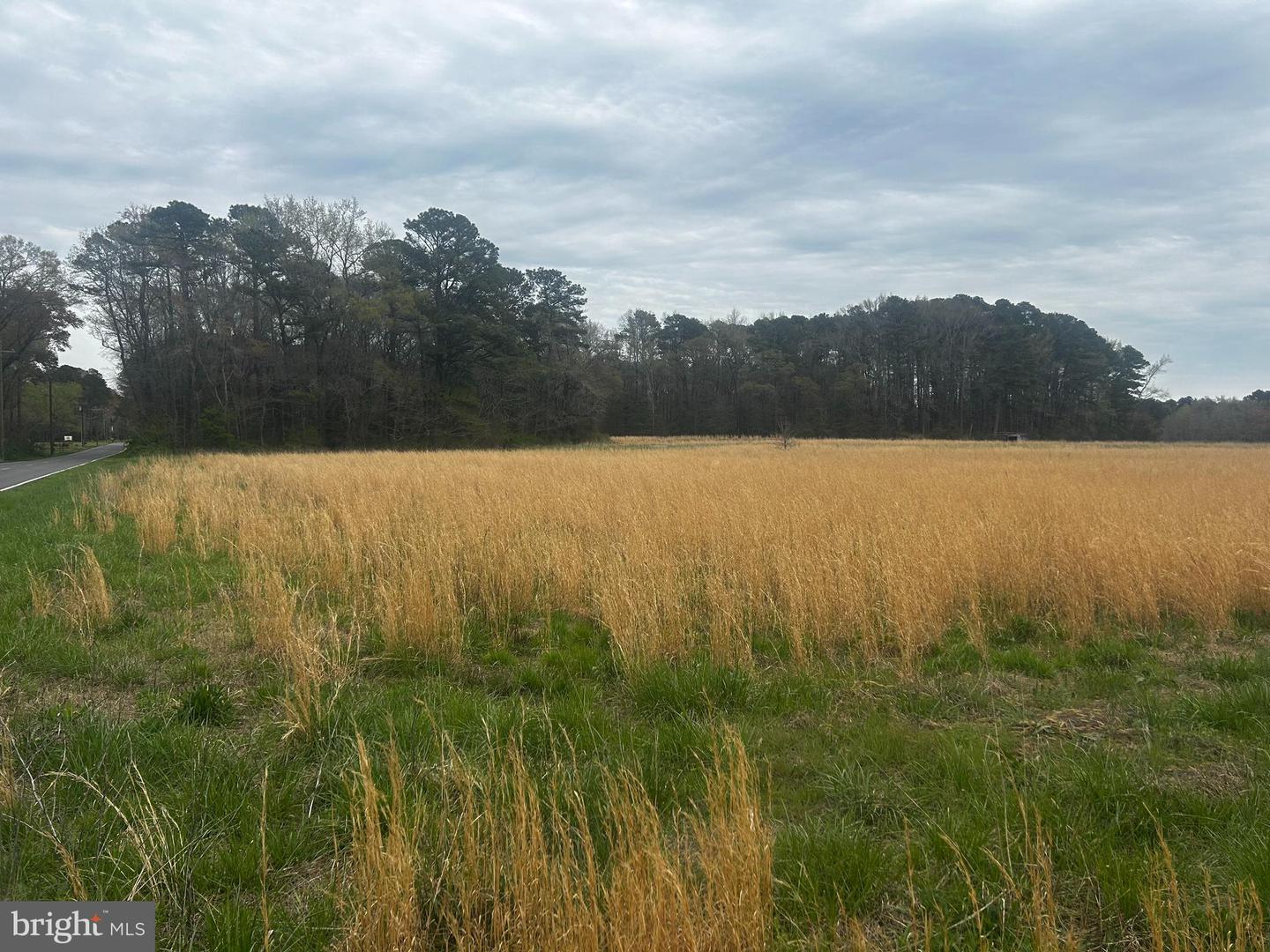 0 Quail Property Photo 11