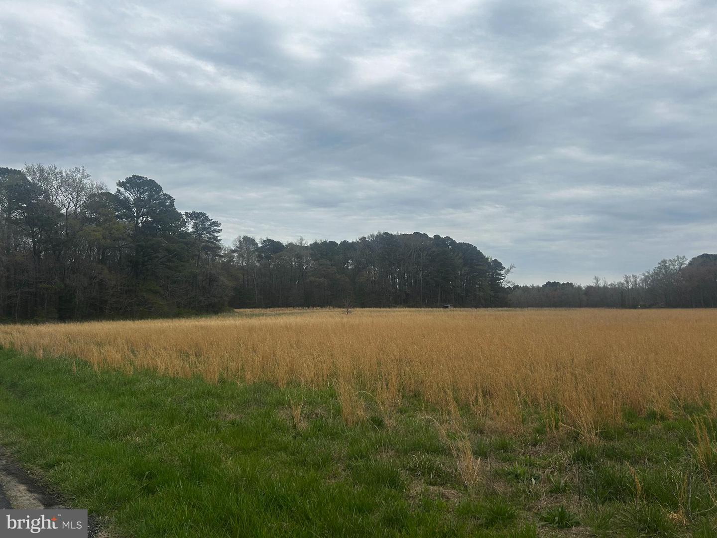 0 Quail Property Photo 12