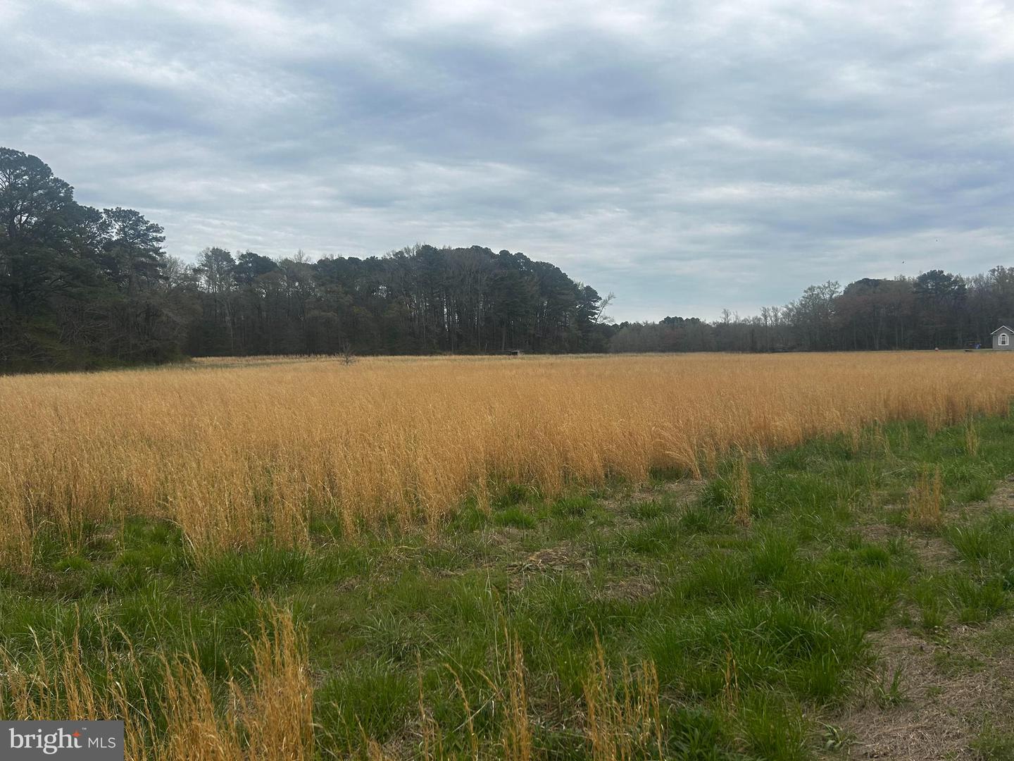 0 Quail Property Photo 13