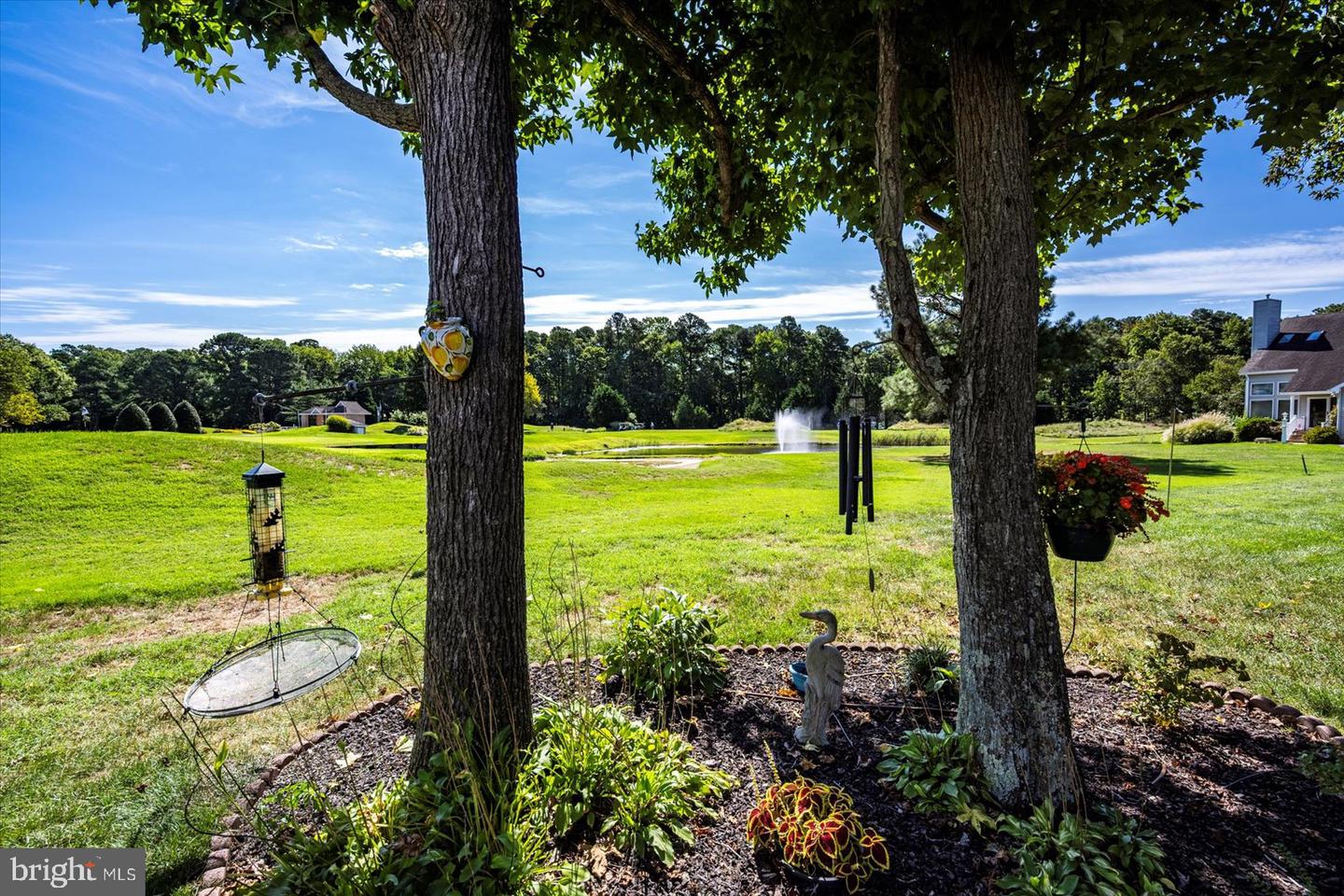 10909 Player Ln Property Photo 86