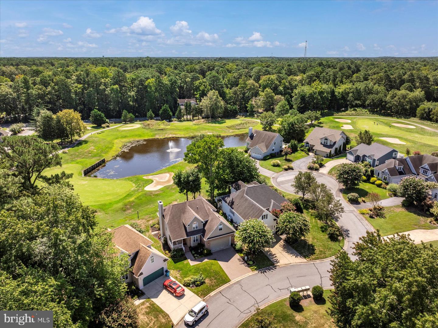 10909 Player Ln Property Photo 92