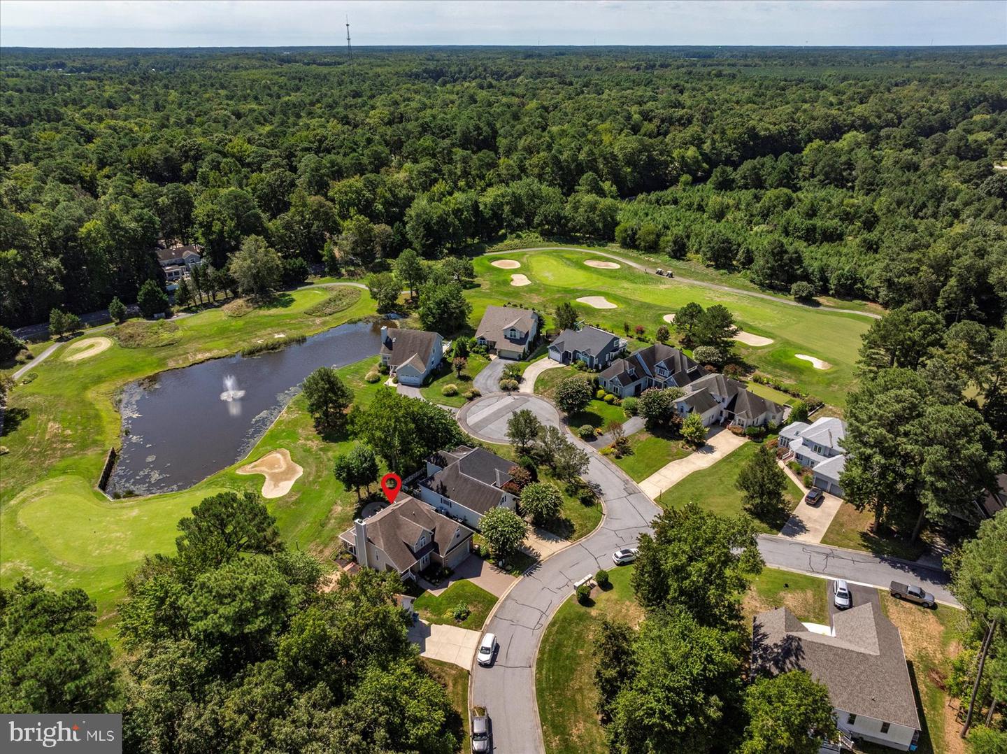 10909 Player Ln Property Photo 93