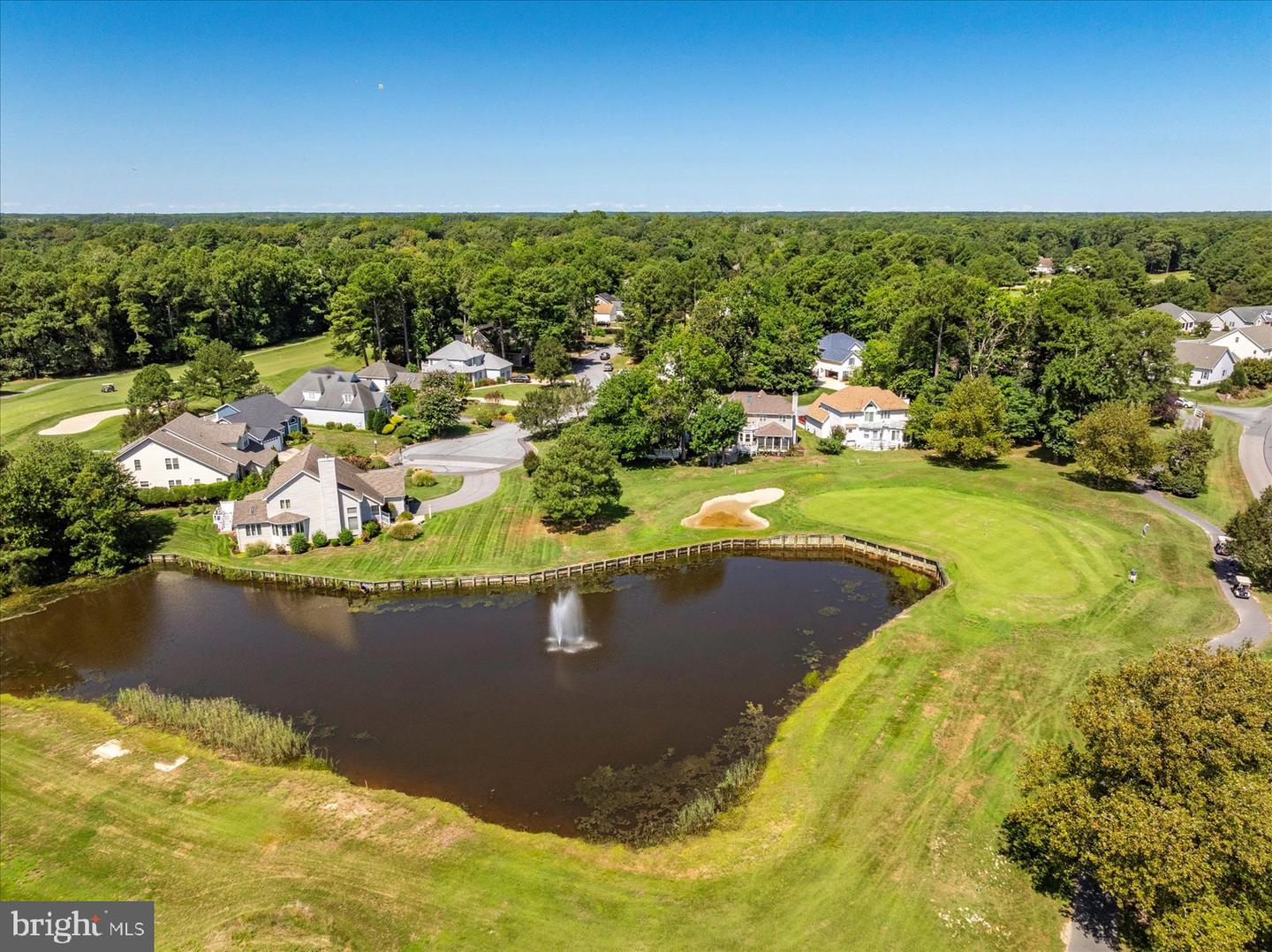 10909 Player Ln Property Photo 106