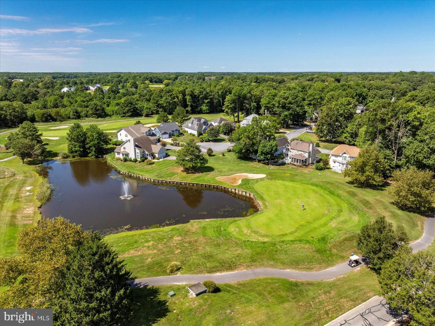 10909 Player Ln Property Photo 107