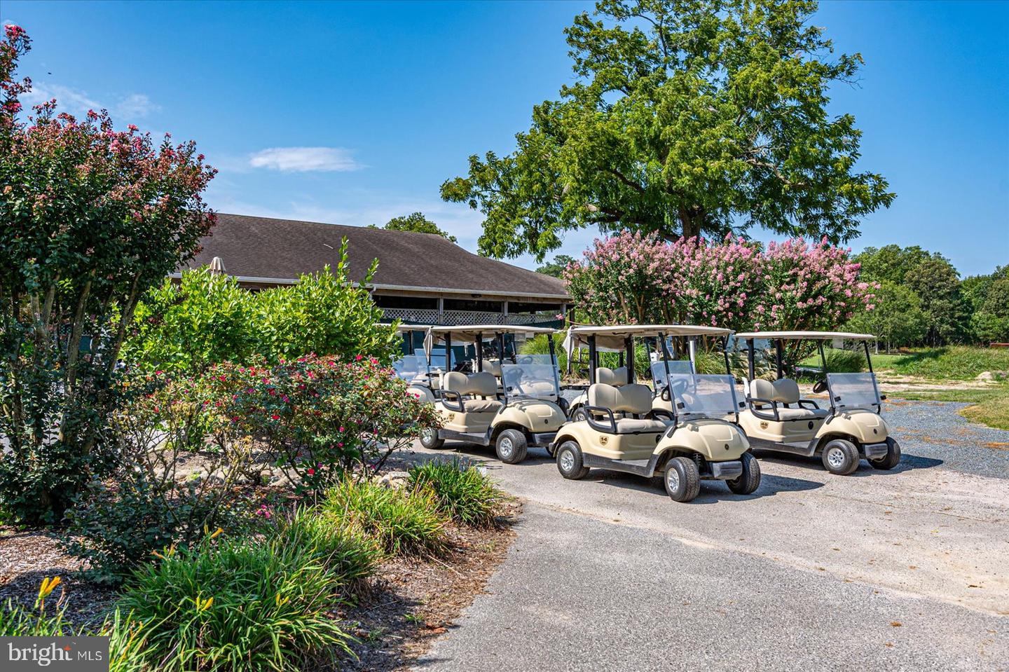 10909 Player Ln Property Photo 120