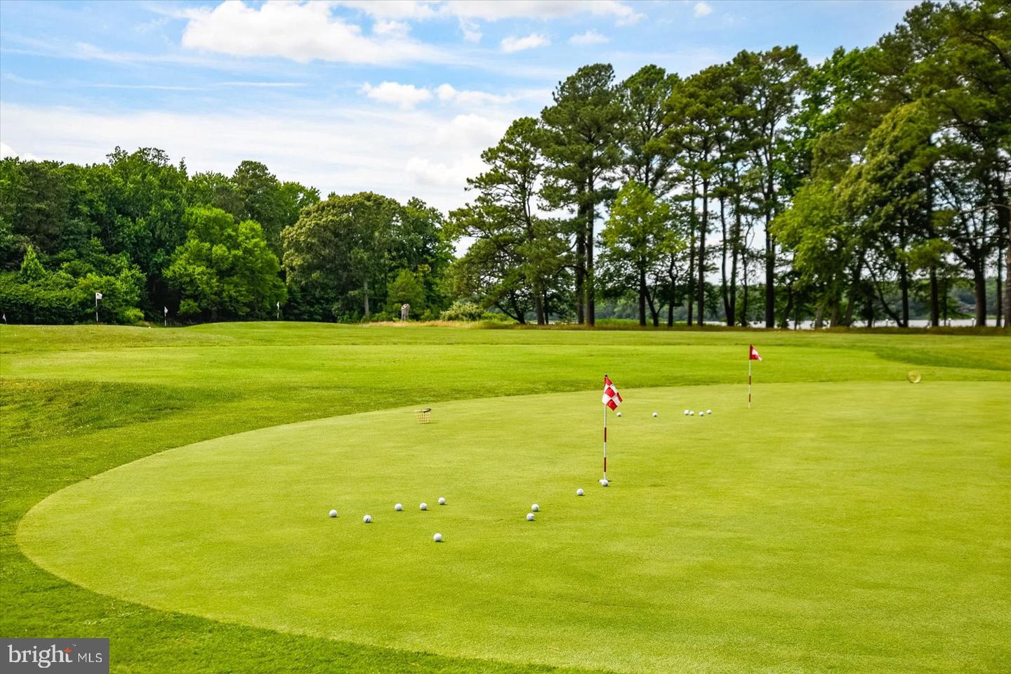 10909 Player Ln Property Photo 126