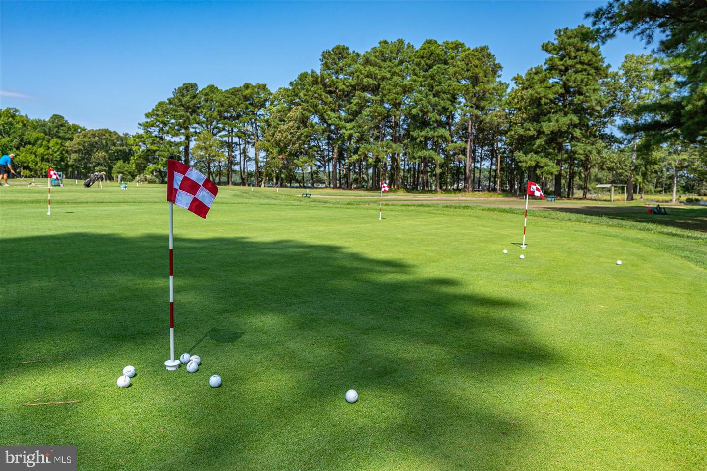 10909 Player Ln Property Photo 127