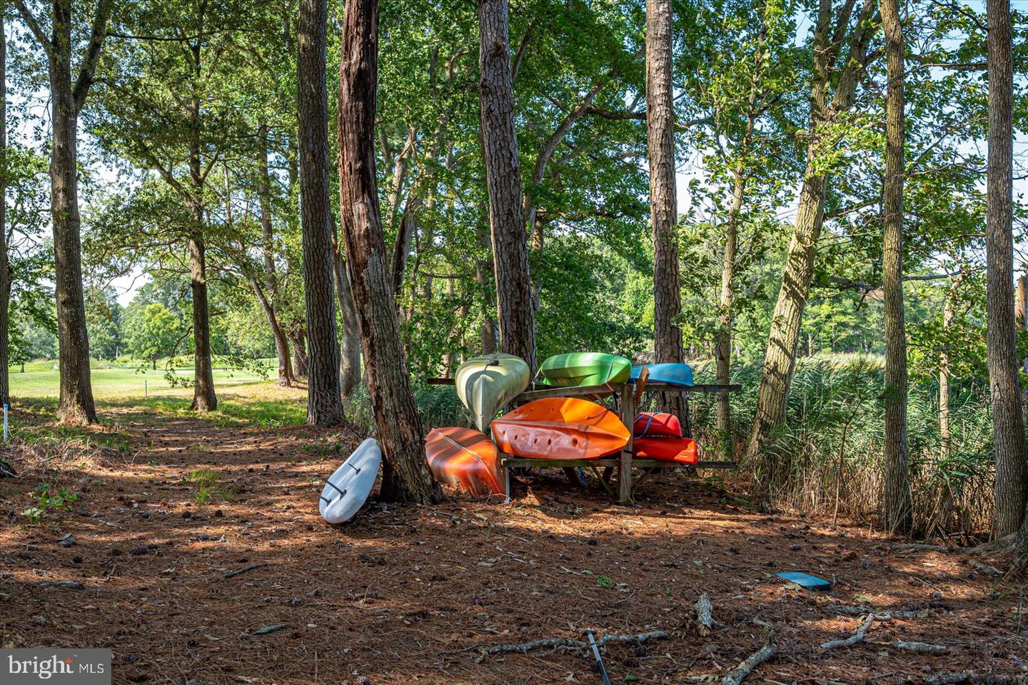 10909 Player Ln Property Photo 129