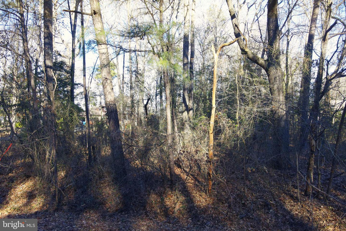0 S Piney Point Rd Property Photo 1