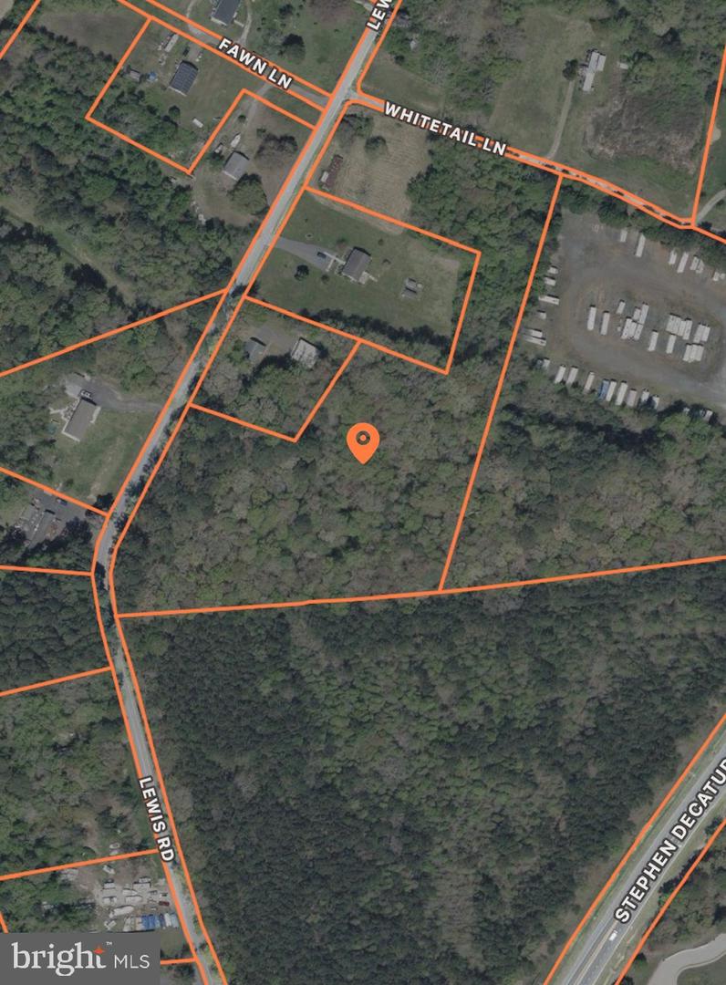 0 Lewis Rd Property Photo 2
