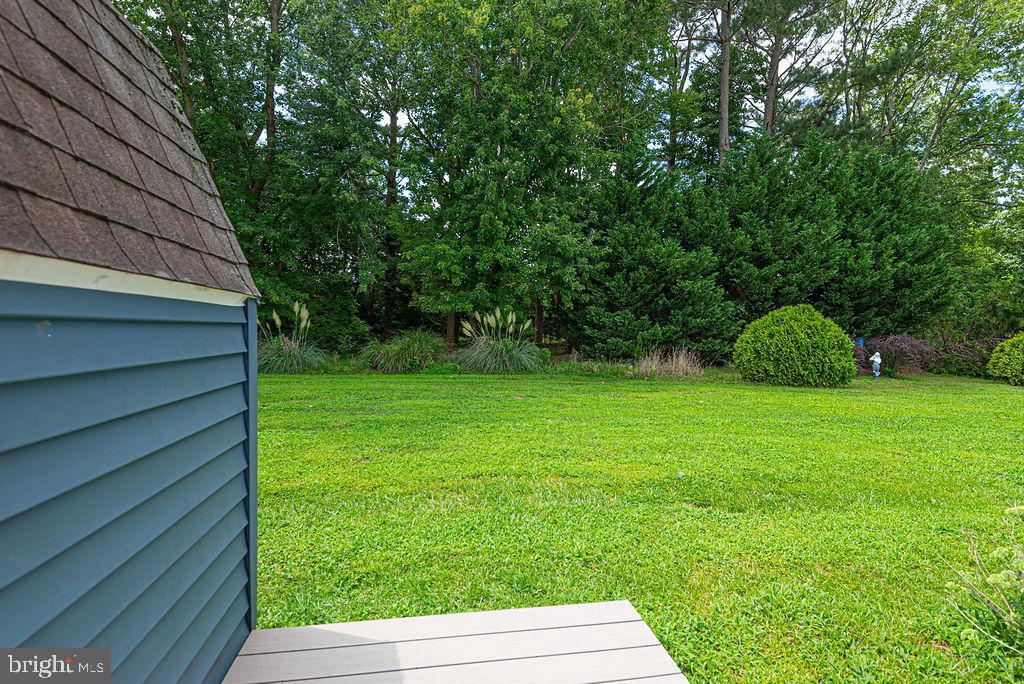 224 Timberline Cir Property Photo 7