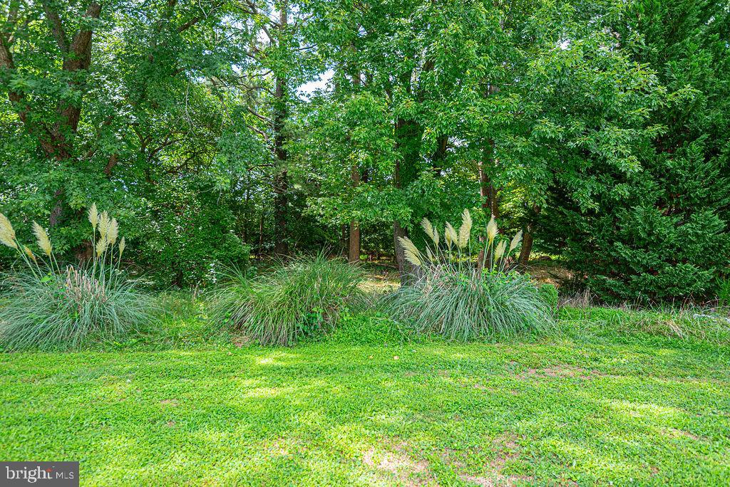 224 Timberline Cir Property Photo 8