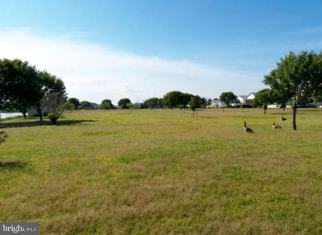 105 Assateague Ct Property Photo 29