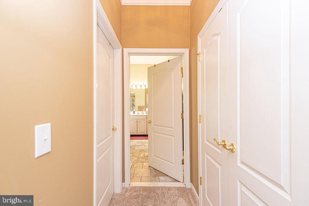 7 Long Point Ct Property Photo 22