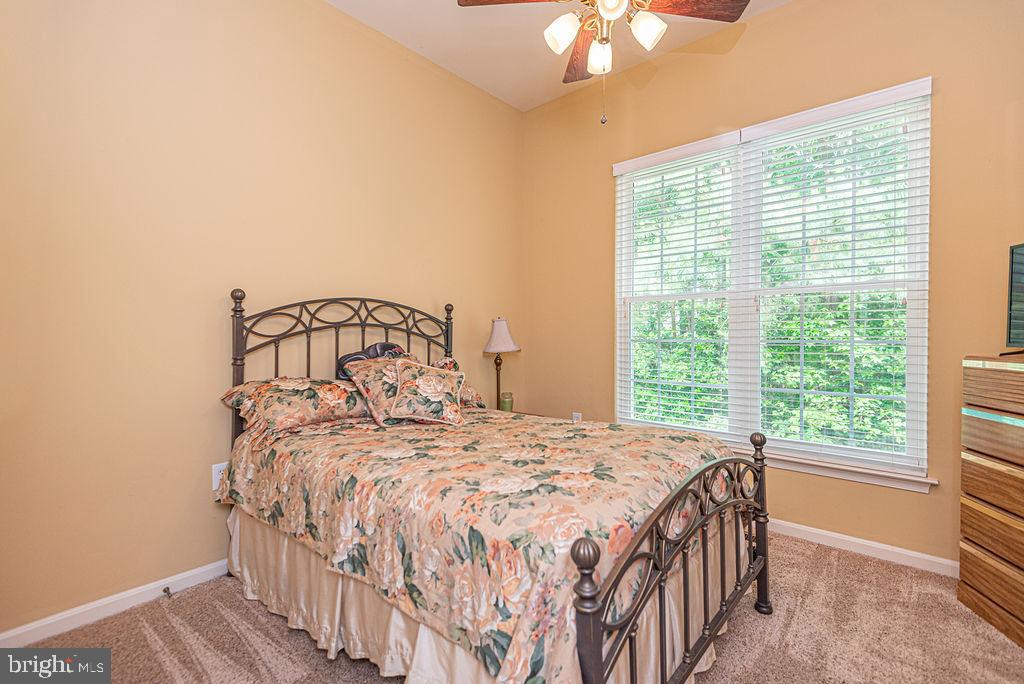 7 Long Point Ct Property Photo 34