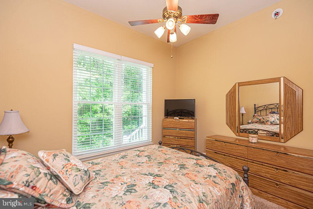 7 Long Point Ct Property Photo 35